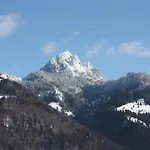 Aiplspitz 2*