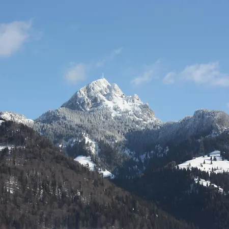Aiplspitz 2*