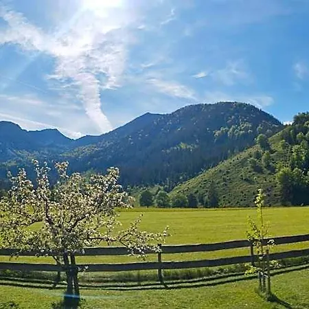 Aiplspitz 2*