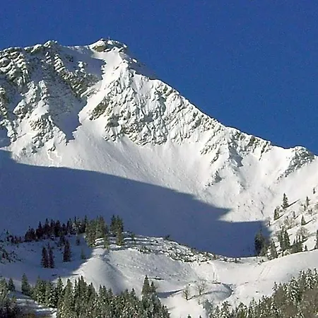 Aiplspitz 2* Bayrischzell
